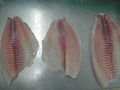 Frozen Tilapia Fillet