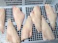 Skinless Redfish Fillet