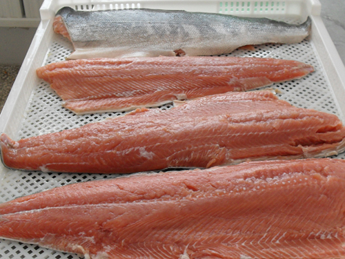 http://www.frozenfishfillet.com/picture/salmon-fillet-raw-material-2.jpg
